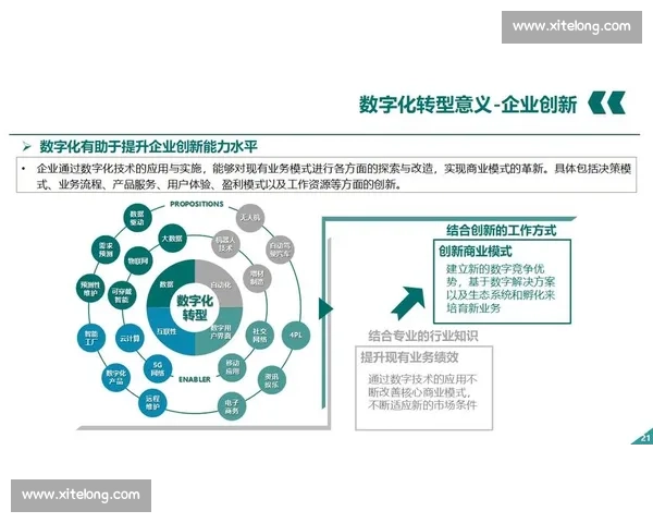 数字化转型背景下的新时代企业行业市场营销战略创新与增长路径研究