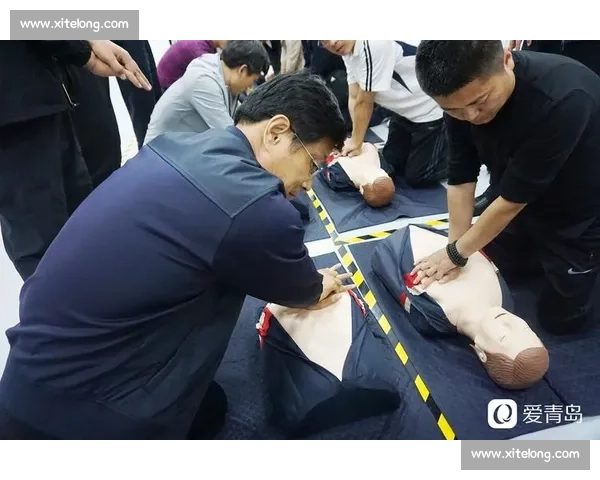 协防战略下的多维安全体系构建与应急响应机制研究 协防战略下的多维安全体系构建与应急响应机制研究