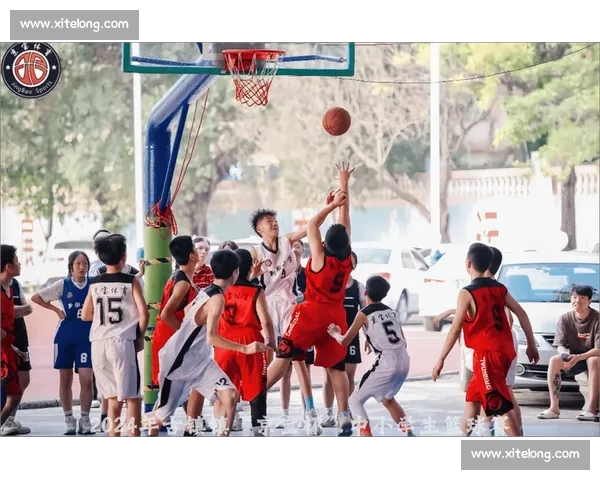 篮球比赛观众氛围激烈升温观众参与感与情感共鸣的深度探讨 篮球比赛观众氛围激烈升温观众参与感与情感共鸣的深度探讨